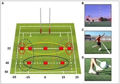 Kicking in or kicking out? The role of the individual motor expertise in predicting the outcome of rugby actions